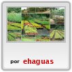 foto producci�n