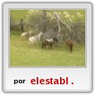 Listos para retomar el camino