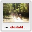 caballos
