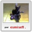 mirco