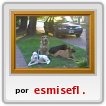 lo perritoos