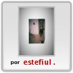 yo tefy