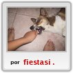 mi mejor amigo