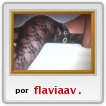 1569586417vvvvvvvvvvvvvvvvvvvvvvvvvvvvvvvv