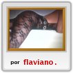 1569586417vvvvvvvvvvvvvvvvvvvvvvvvvvvvvvvv