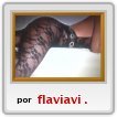 1569586417vvvvvvvvvvvvvvvvvvvvvvvvvvvvvvvvvv