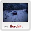 nieve
