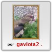 alcaraban de la casa