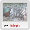 Edwind Armando
