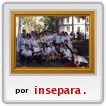 Amigass