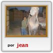 lucas