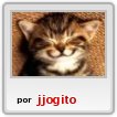 Hola amiguitos