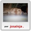 junior