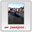 CRIA,DE,BALLENA,AGONIZANTE,SAN ANTONIO OESTE