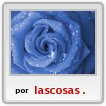 T AMO