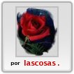 AMOR_ROSA ROJA