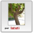 Arbol