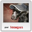 _mascota_