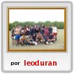 rugby