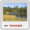 medio ambiente