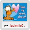 aca esta un gato