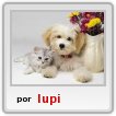 yo Luli,je,2foto