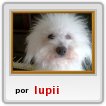 claruu