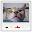 jajaja