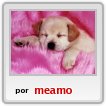 este es mi perro es el mas lindo no lo creen