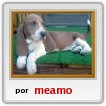 este es mi amigo es el mejor