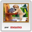 esa es mi coneja con un amigo