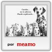 el perros y los gatos