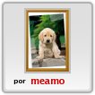 mi foto