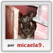 mi mejor perro