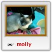 MI GATITA PETU
