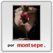 pecho y rosa