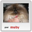 Miauuuuu
