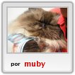 Muby de gala