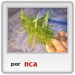 Nca,Negra Creencia Ancestral,Familia,Maipu