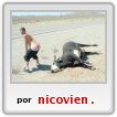 UUUUUHHHHH pobre vaca