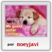 novio,javier
