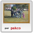 La mia Filia en el Paseo de la Costa