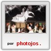 fotos,videos,15 a�os,cumplea�os,amigos,fiesta,cumplea�os,fotografo,clip,casamientos,civil