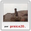 hermoso