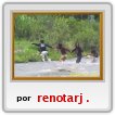 Cruzando