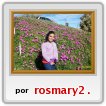 Noelia