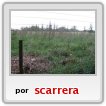 Malvinas,Mantenimiento espacios verdes