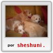 que lindosssssssss