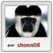 el mono