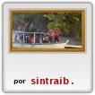 llegada al parque